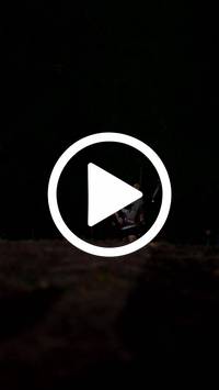 BIB:  <button type="button" onclick="openModal(28093482)" class="btn btn-primary btn-sm float-right" data-toggle="modal" data-target=".modal-high-quality">
                <i class="fa fa-download"></i> Download
                </button>